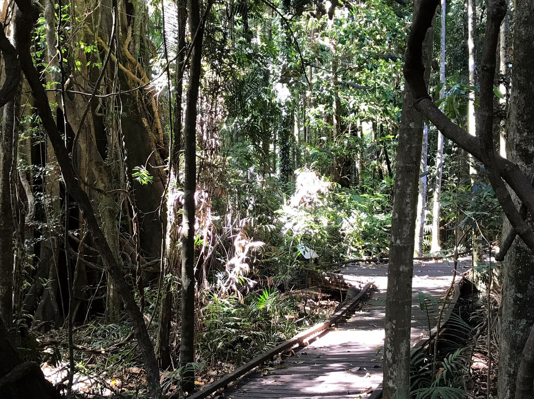 Victoria Park Nature Reserve景点图片