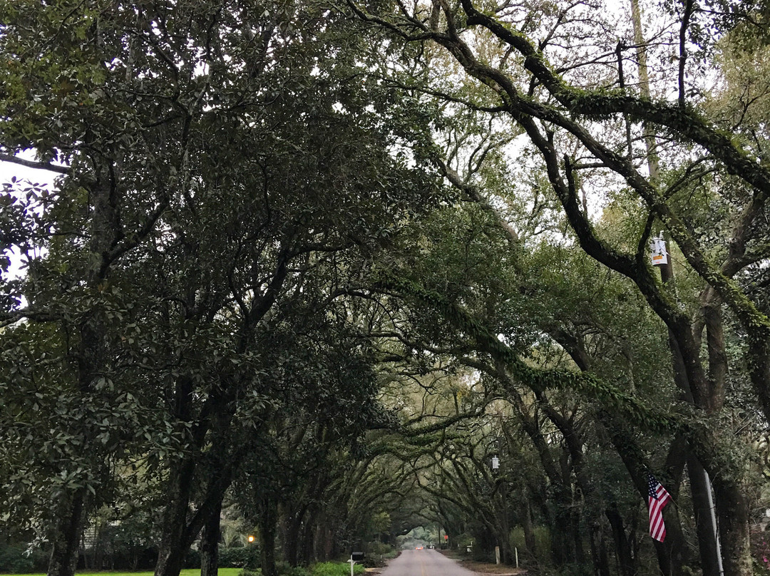 Magnolia Springs Bed & Breakfast主图