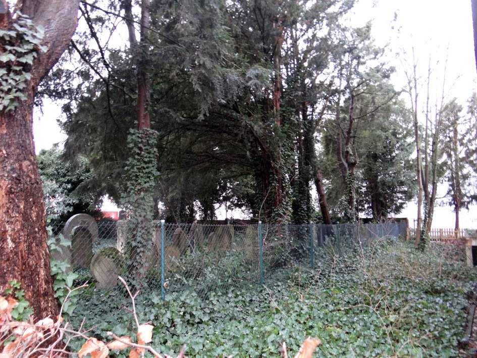 Der jüdische Friedhof-Drensteinfurt必去景点
