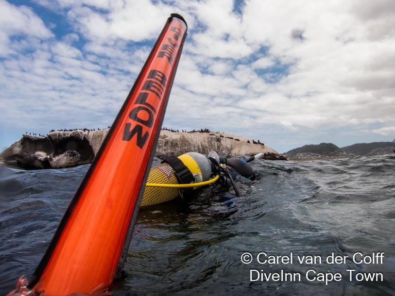 Dive Inn Diving & Touring-Plumstead必去景点