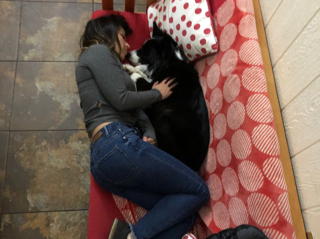 Cabanas Peumayen en Huilo Huilo主图