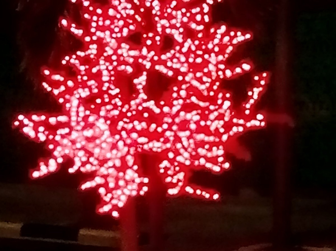 Centro Comercial Santa Lucia Plaza-内瓦必去景点