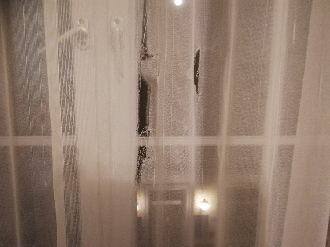 Hotel zur Insel主图