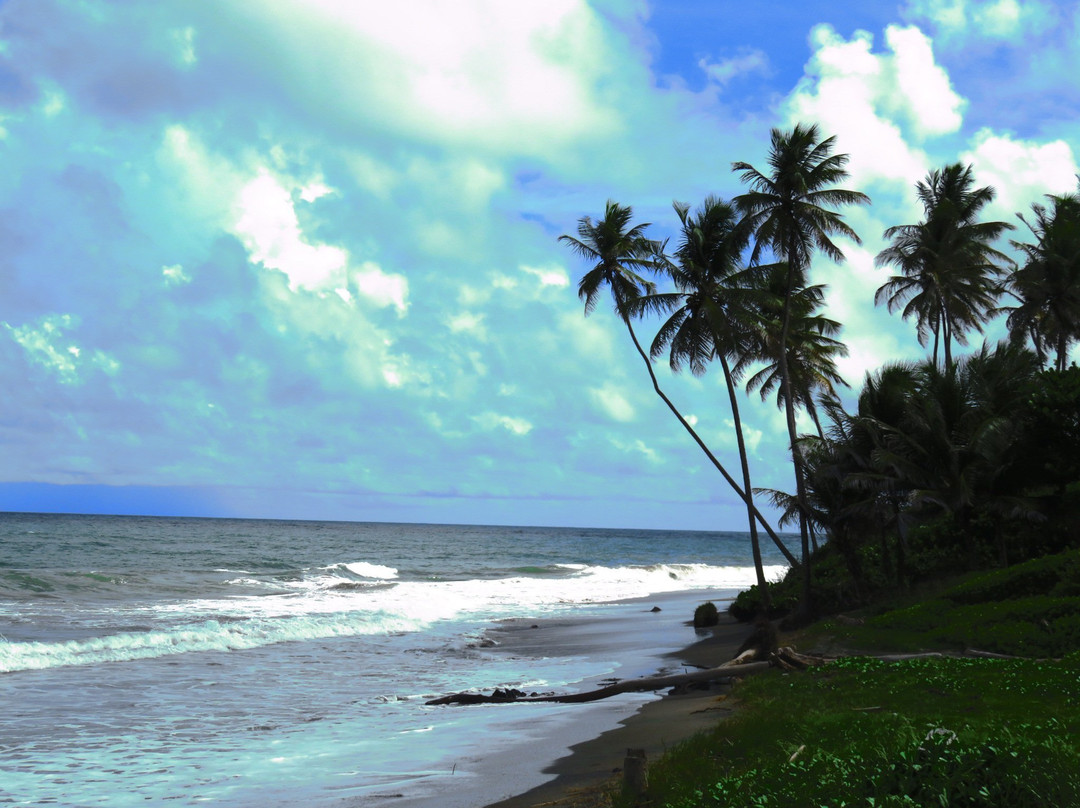 AJ Meddy Taxi & Tours Service-St. George's必去景点