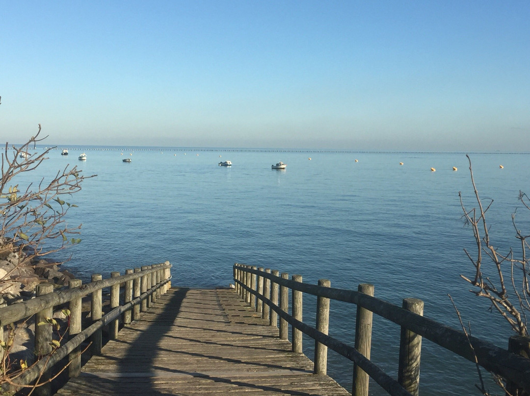 Shoebury East Beach景点图片