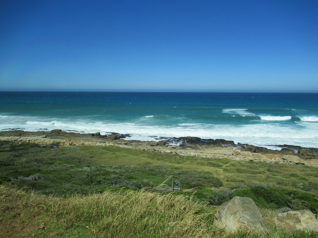 Stobers Tours-Cape Point必去景点
