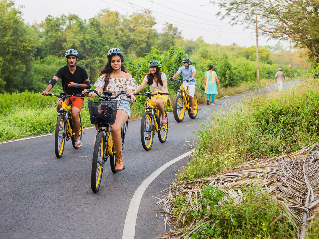 BLive Electric Bike Tours景点图片