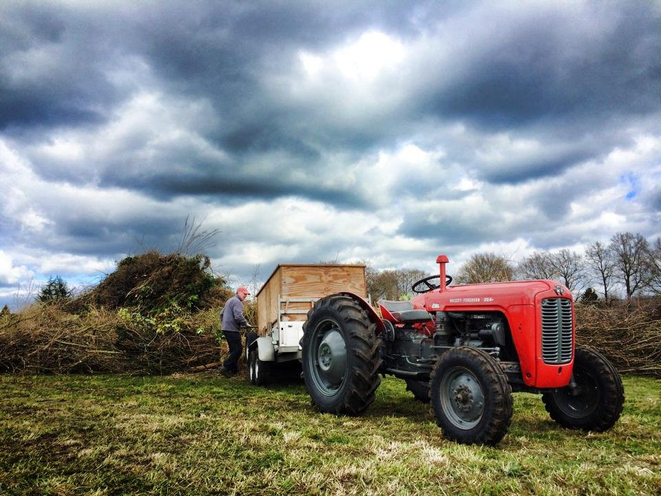 B&B Erve Dimmendael主图