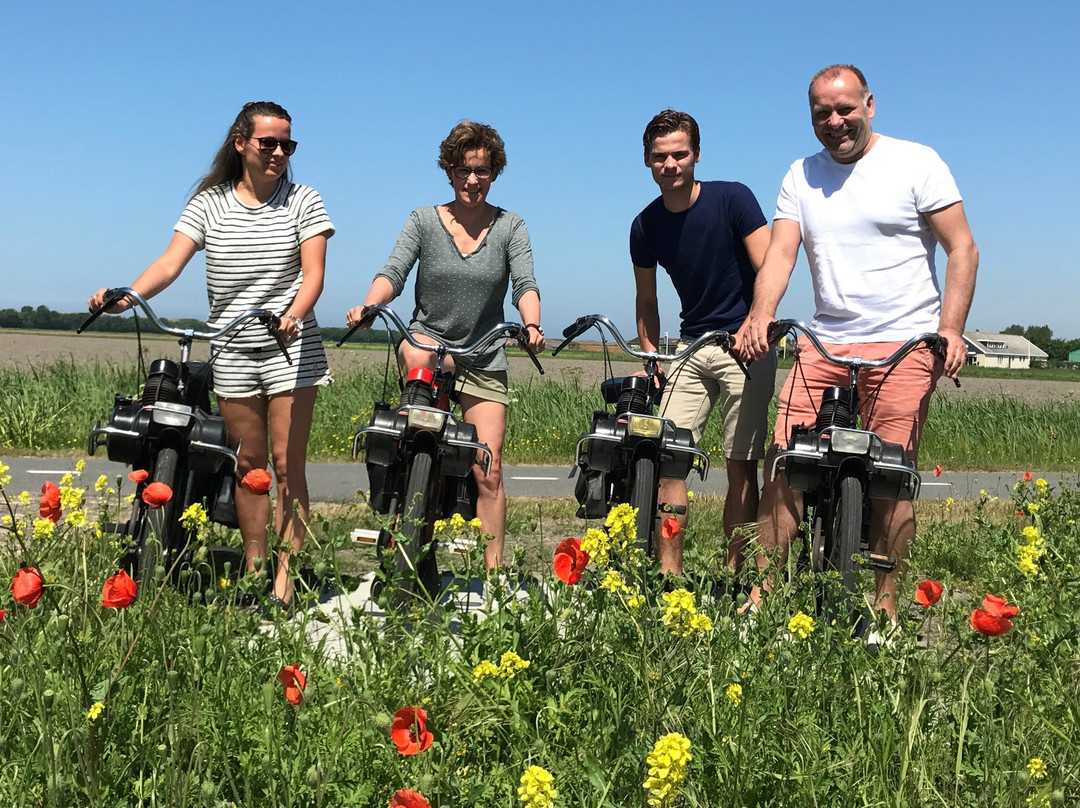 Solexverhuur Texel, Scooter-Texel-登堡必去景点