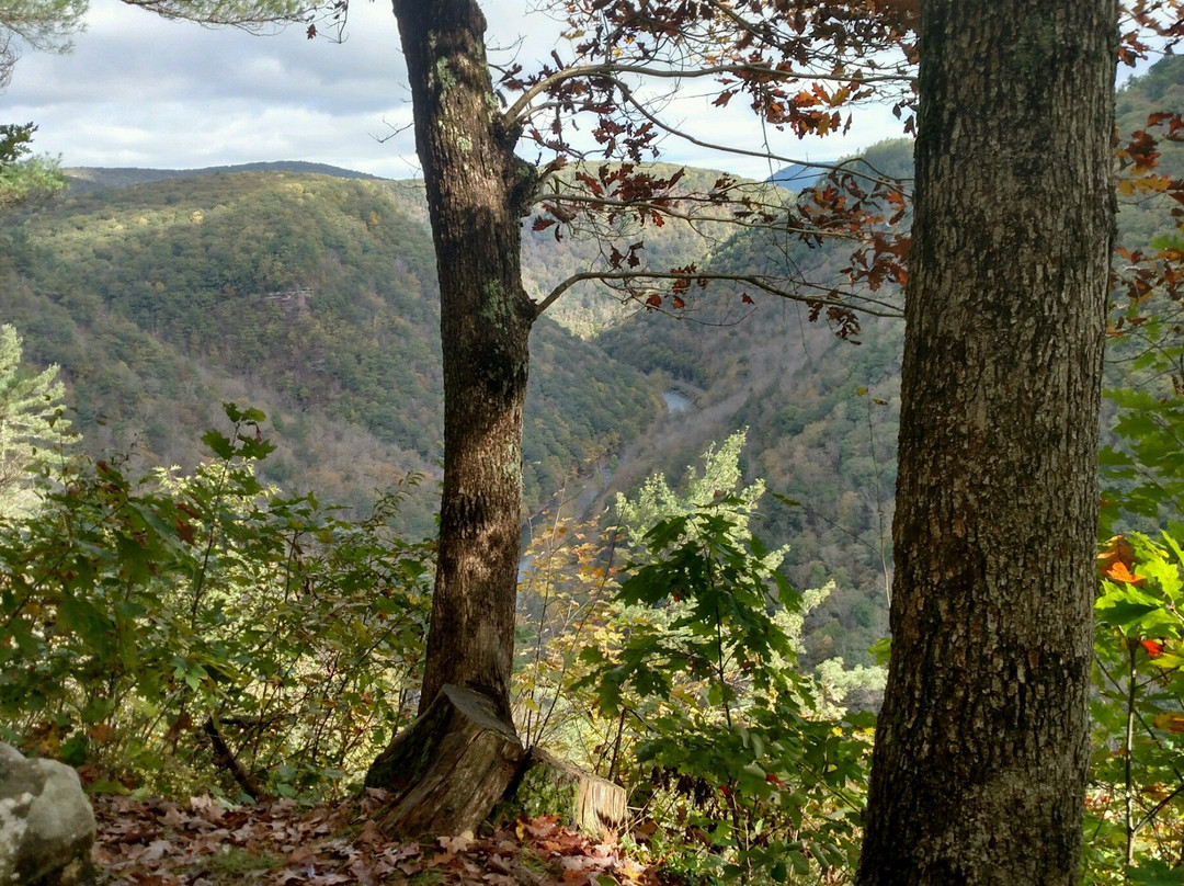 Colton Point State Park景点图片