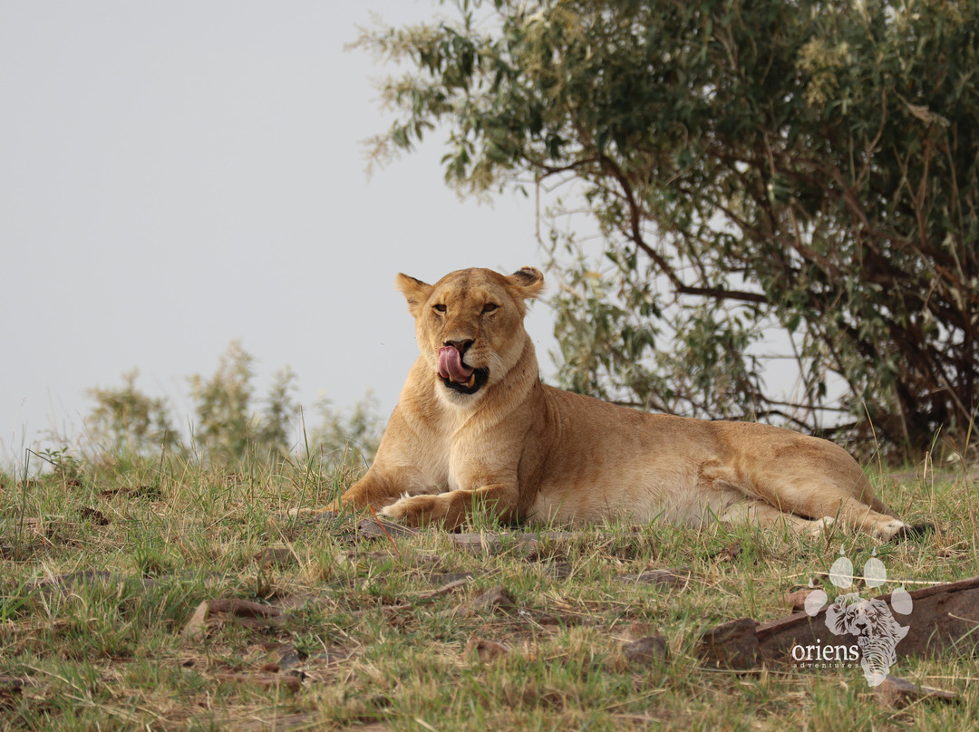 Oriens Adventures-纳库鲁必去景点