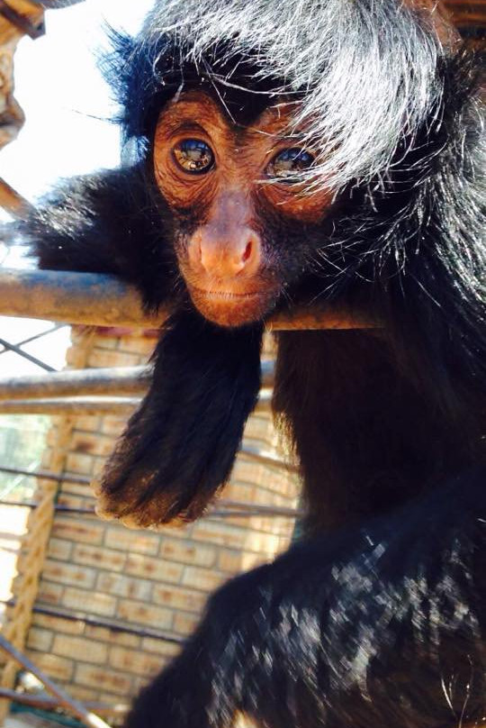 Marakele Animal Sanctuary-塔巴珍比必去景点