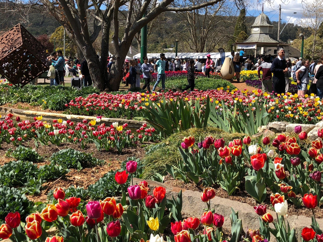 The Imperial Motel主图