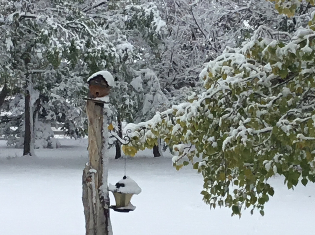 大河谷酒店住宿-Rolling Hills Country Resort