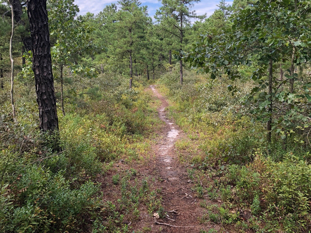 Jakes Branch County Park-Beachwood必去景点