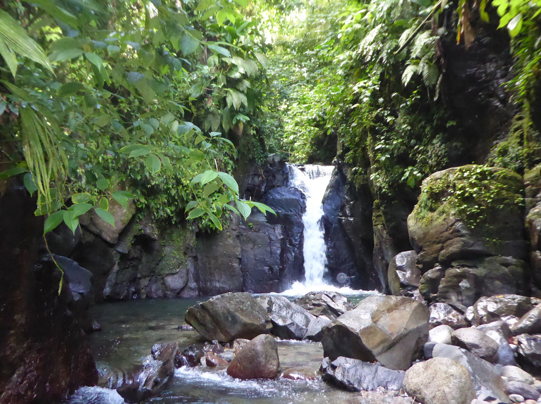 MARTINIQUE BEST SECRET景点图片