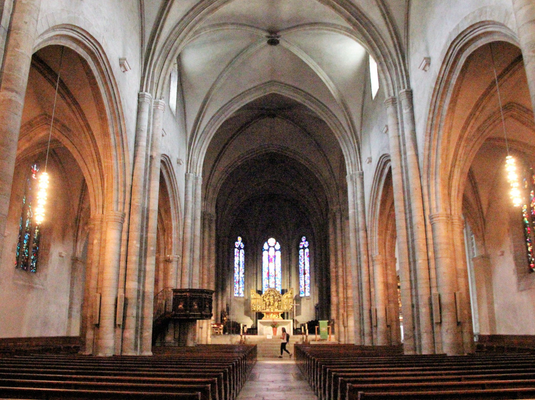 Cathédrale Notre-Dame du Glarier景点图片