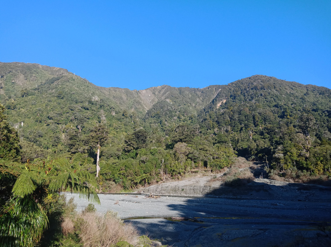 Orongorongo Track景点图片