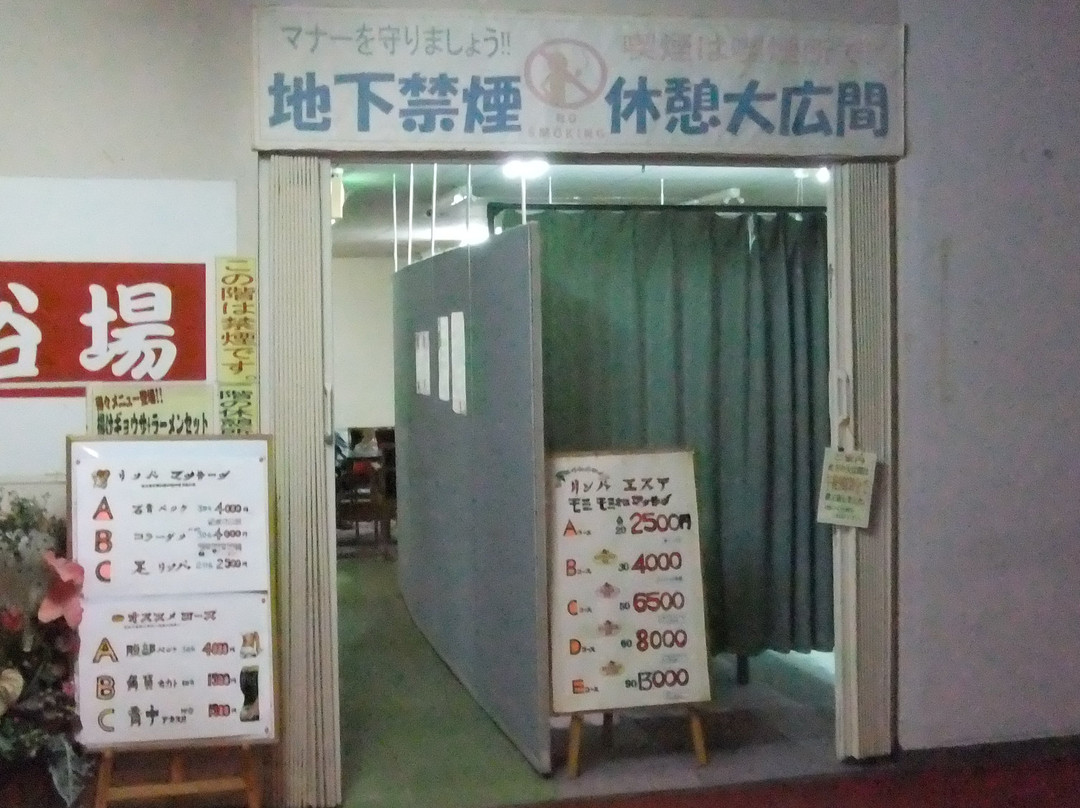 Ashikaga Kashimaen Onsen-足利市必去景点