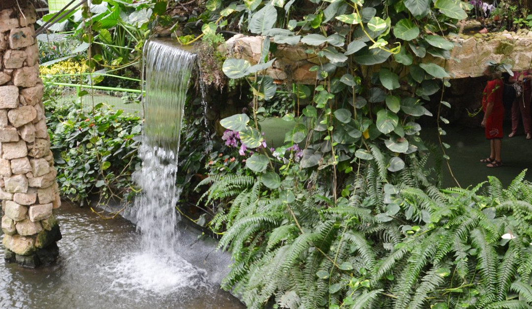 Utopia Orchid Park-Bahan必去景点