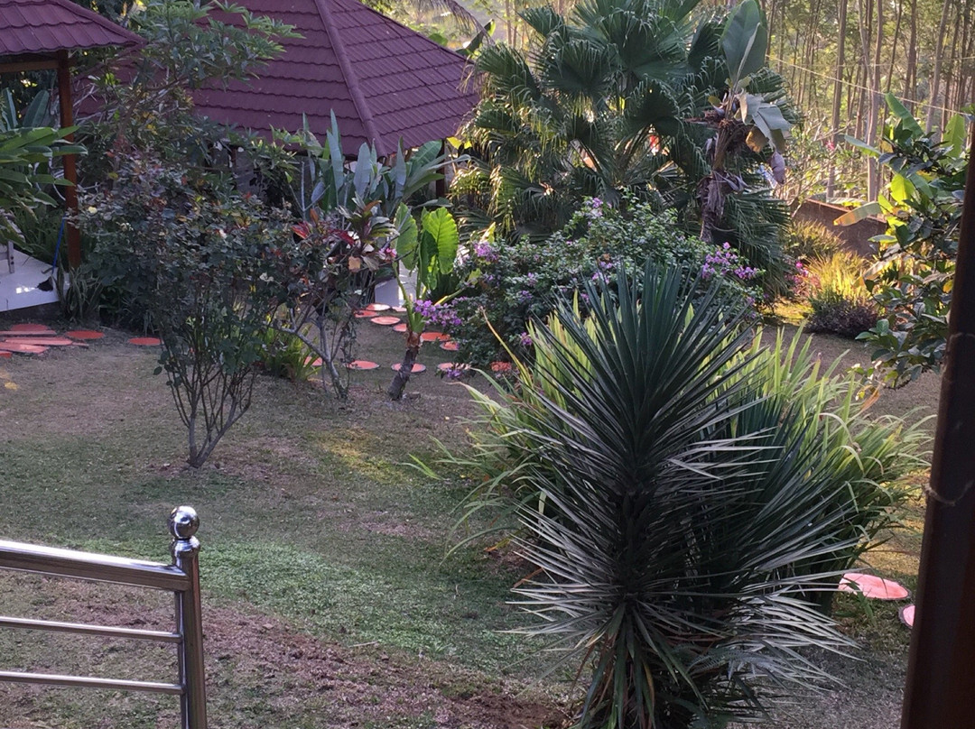 Guesthouse Oase Van Java主图