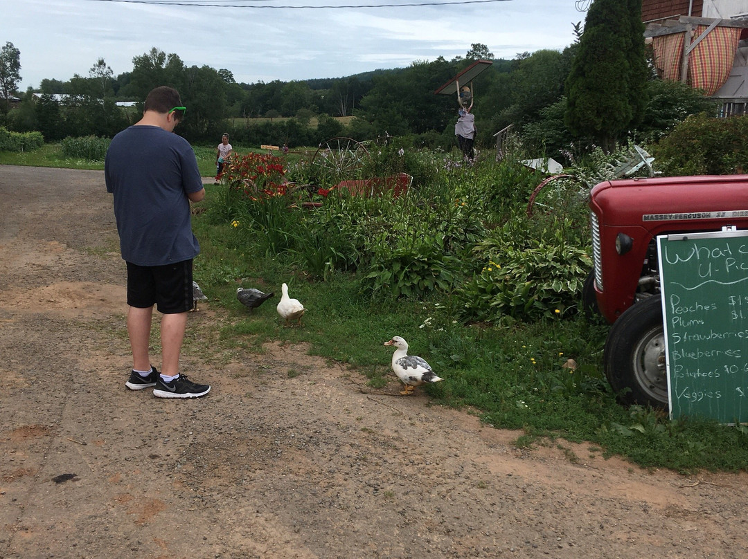 Dempsey Corner Orchards-Aylesford必去景点