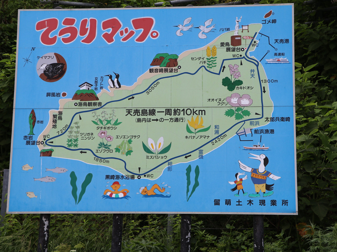 天卖岛-羽幌町必去景点