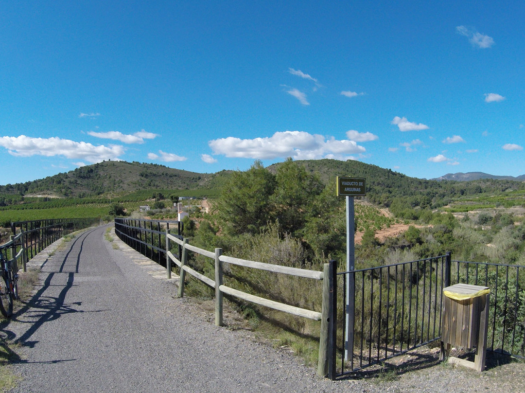 Mediterranean Bike Tours景点图片