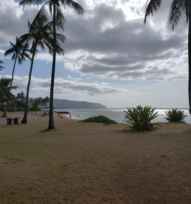 Waialua Bay景点图片