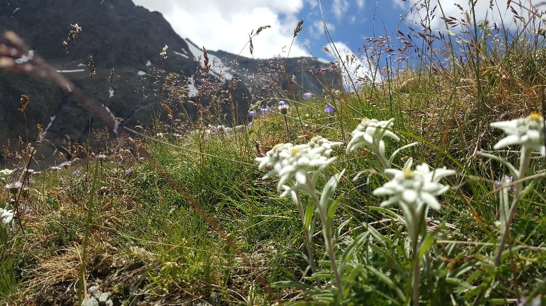 Rifugio Aosta景点图片