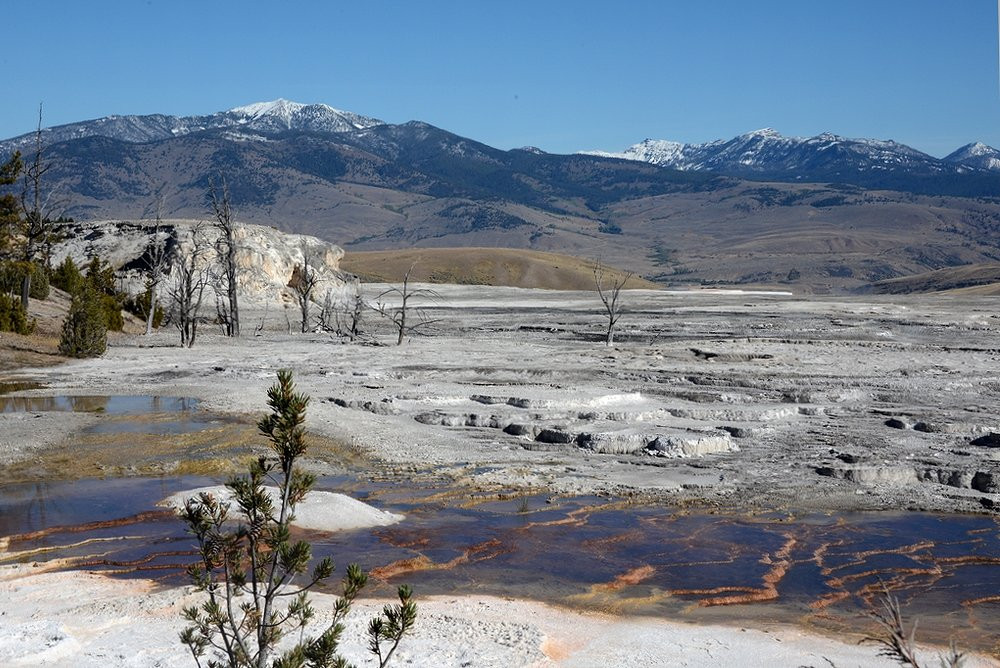 Terrace Mountain-黄石国家公园必去景点
