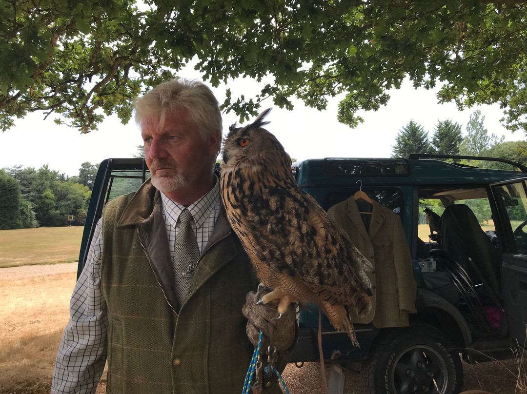 Amews Falconry景点图片