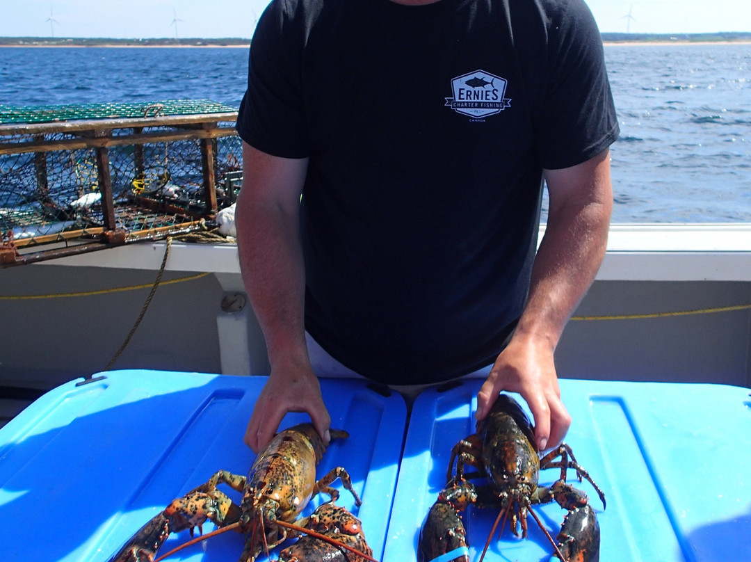 Ernie's Charter Fishing-North Lake必去景点