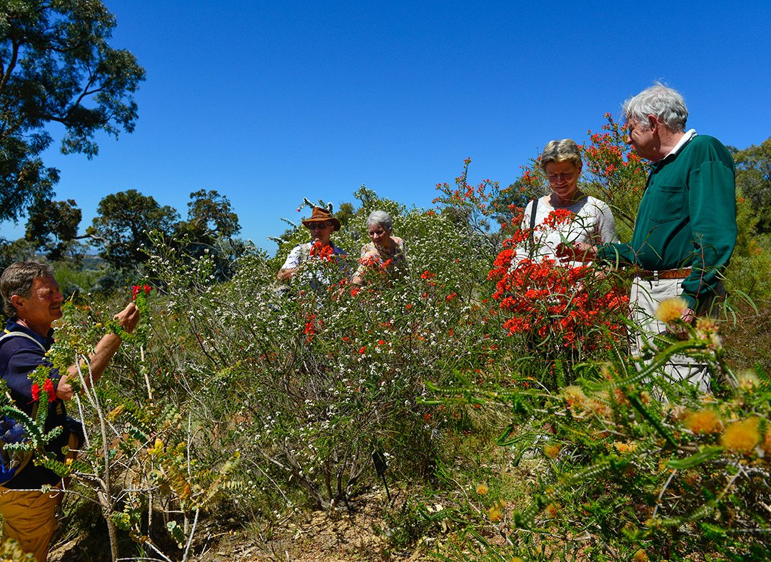 Outback Spirit-珀斯必去景点