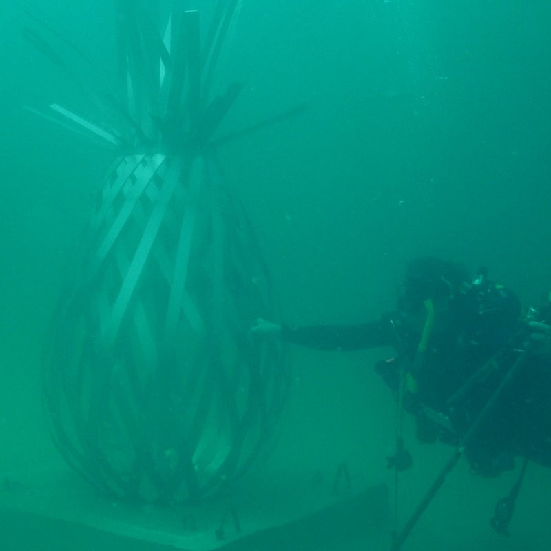 The Underwater Museum of Art景点图片