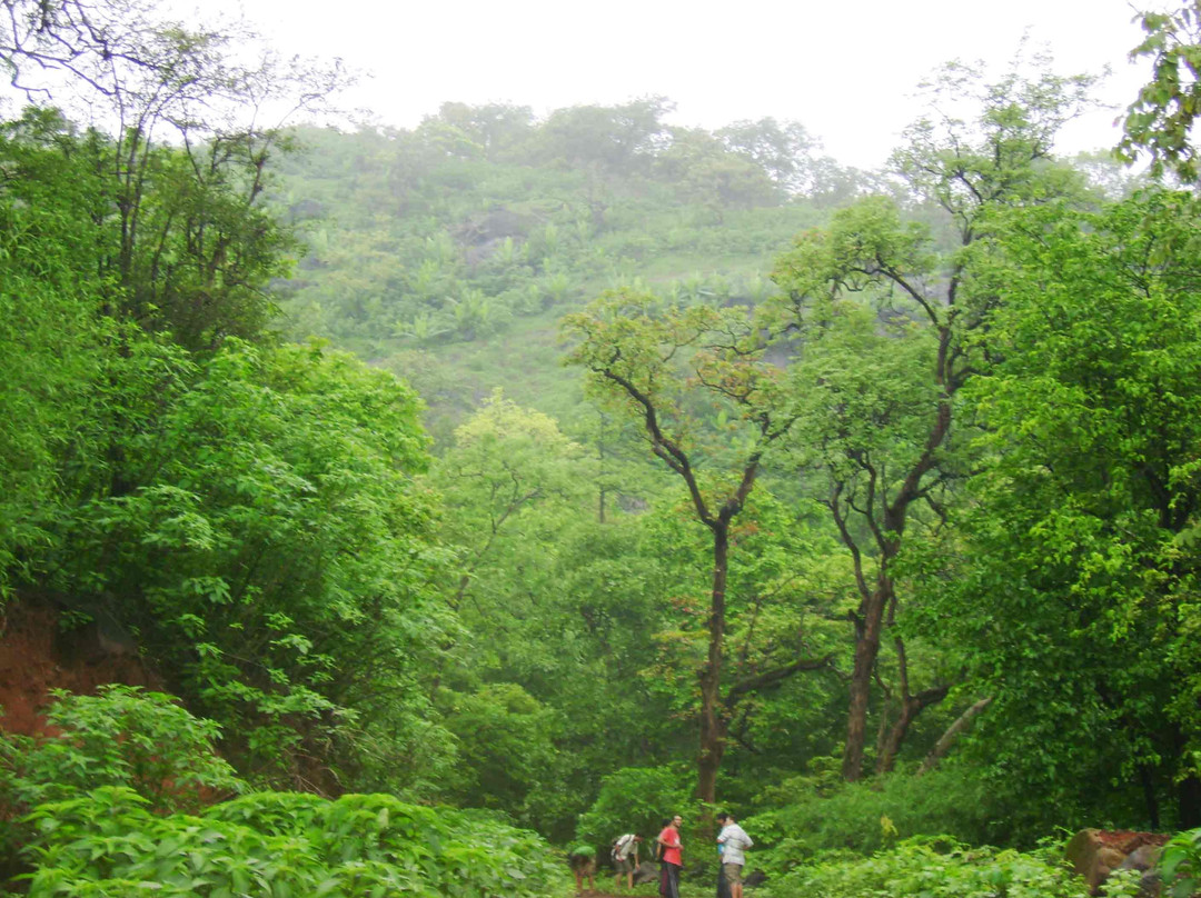 Tungareshwar Wildlife Sanctuary景点图片