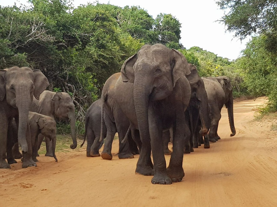 Jeromwin Tours-尼甘布必去景点