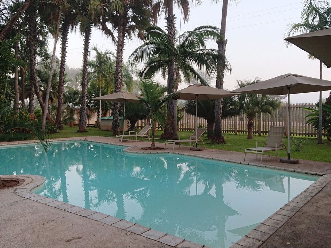 The Palm Tree Place