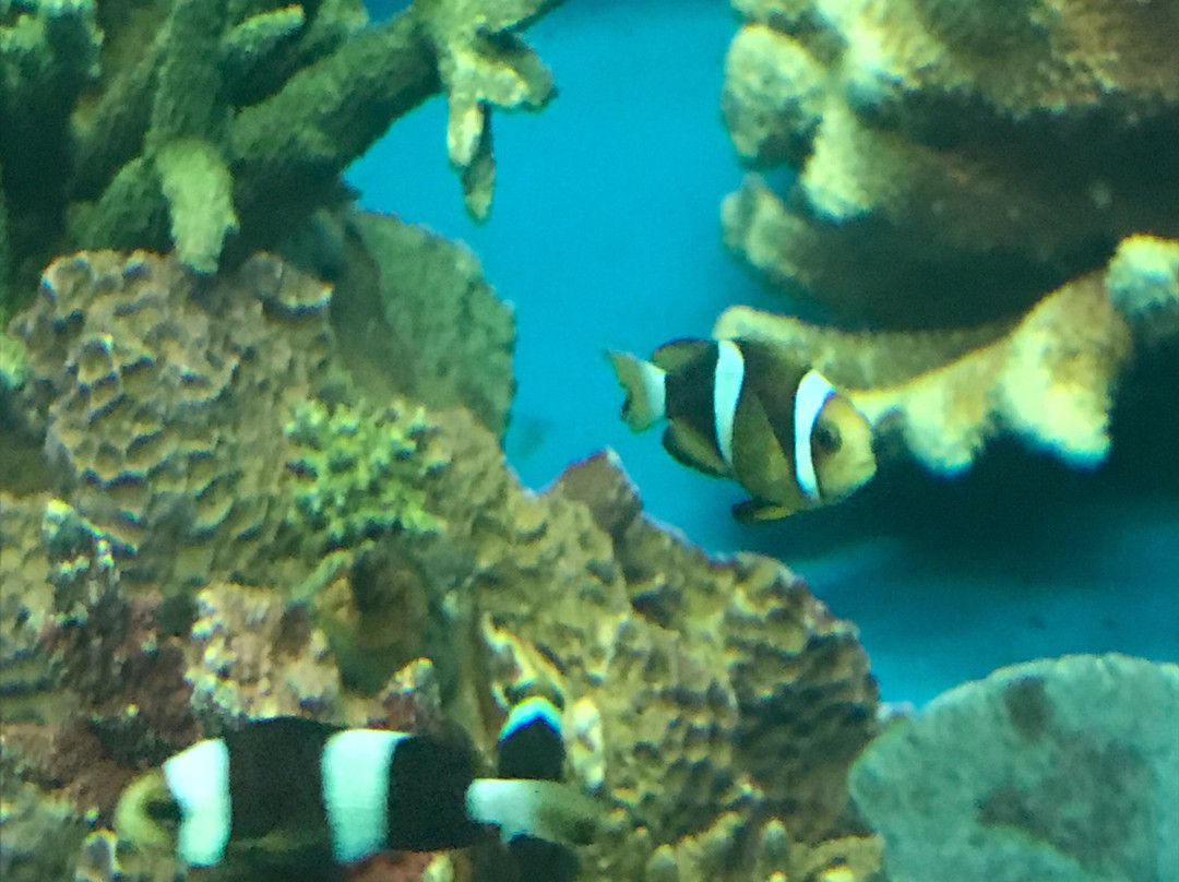 Khlong Khok Kham-龙仔厝必去景点