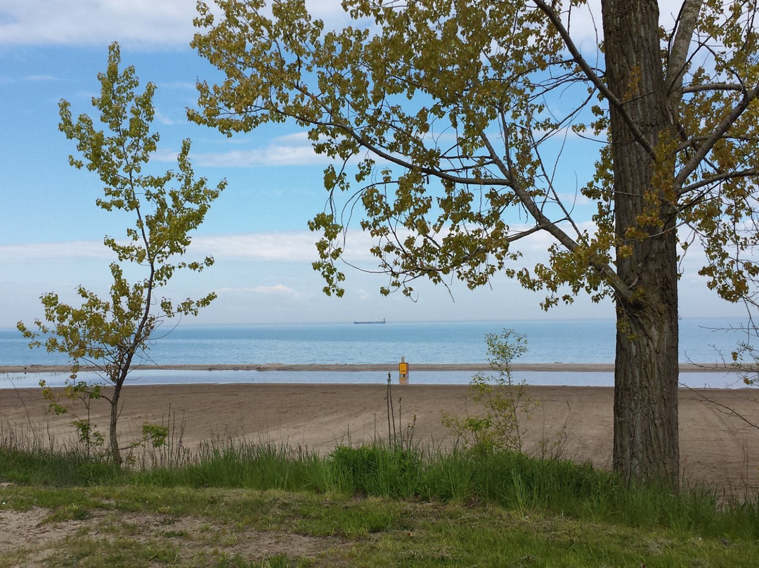 Malcolmson Park-圣凯瑟琳斯必去景点