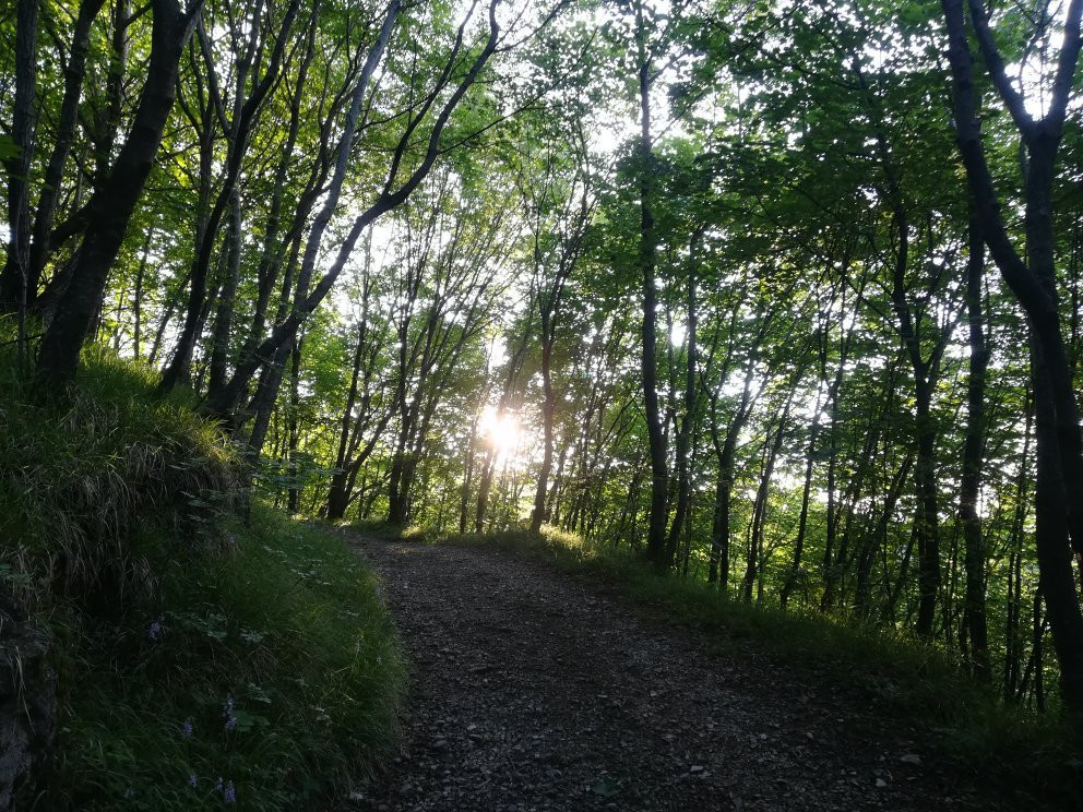 Oasi Naturalistica di Frassineto景点图片
