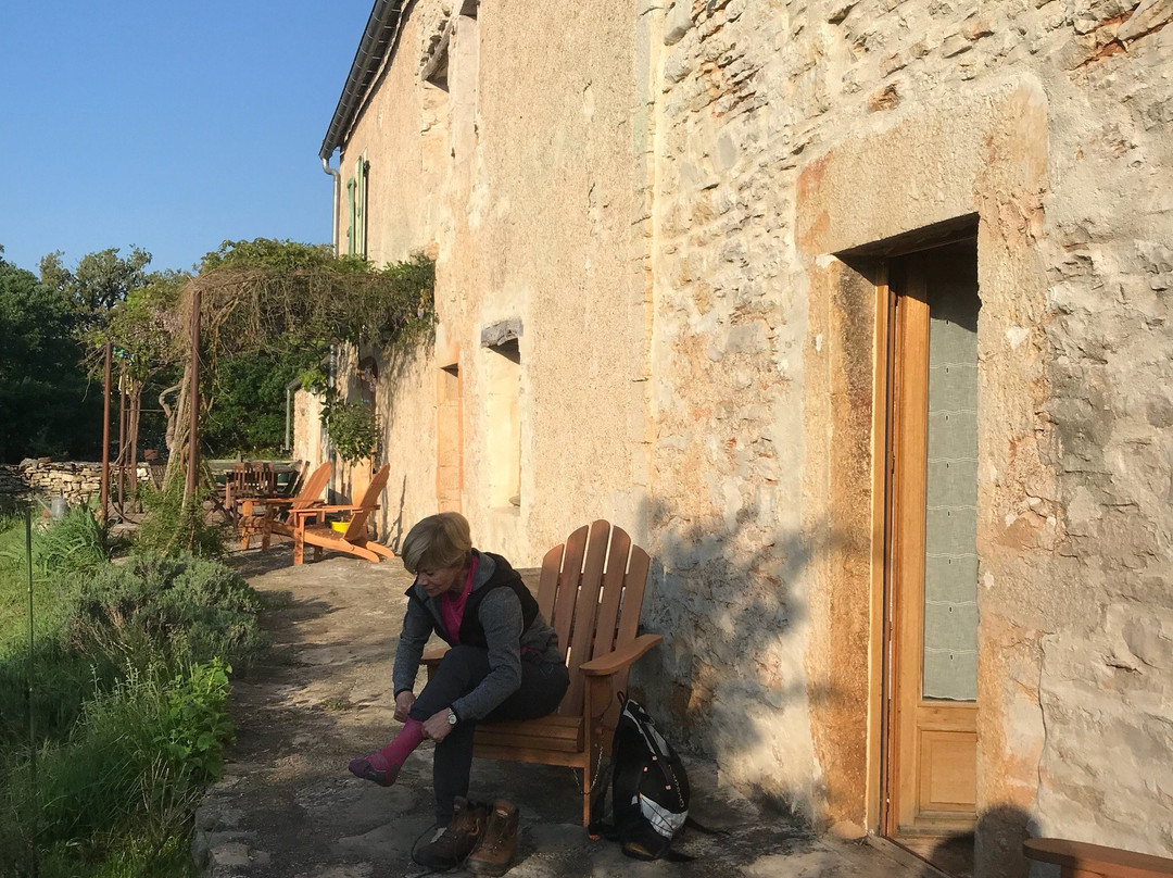 Ferme De Cazals主图
