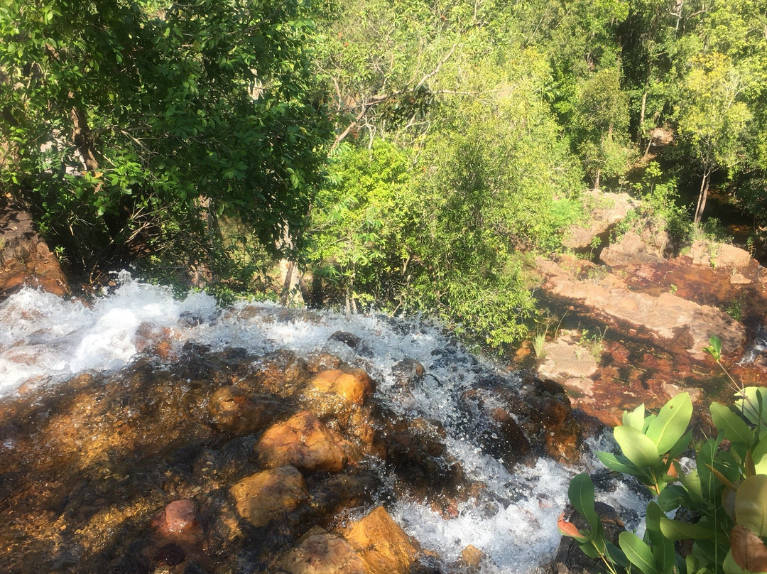 Tjaetaba Falls-Litchfield National Park必去景点