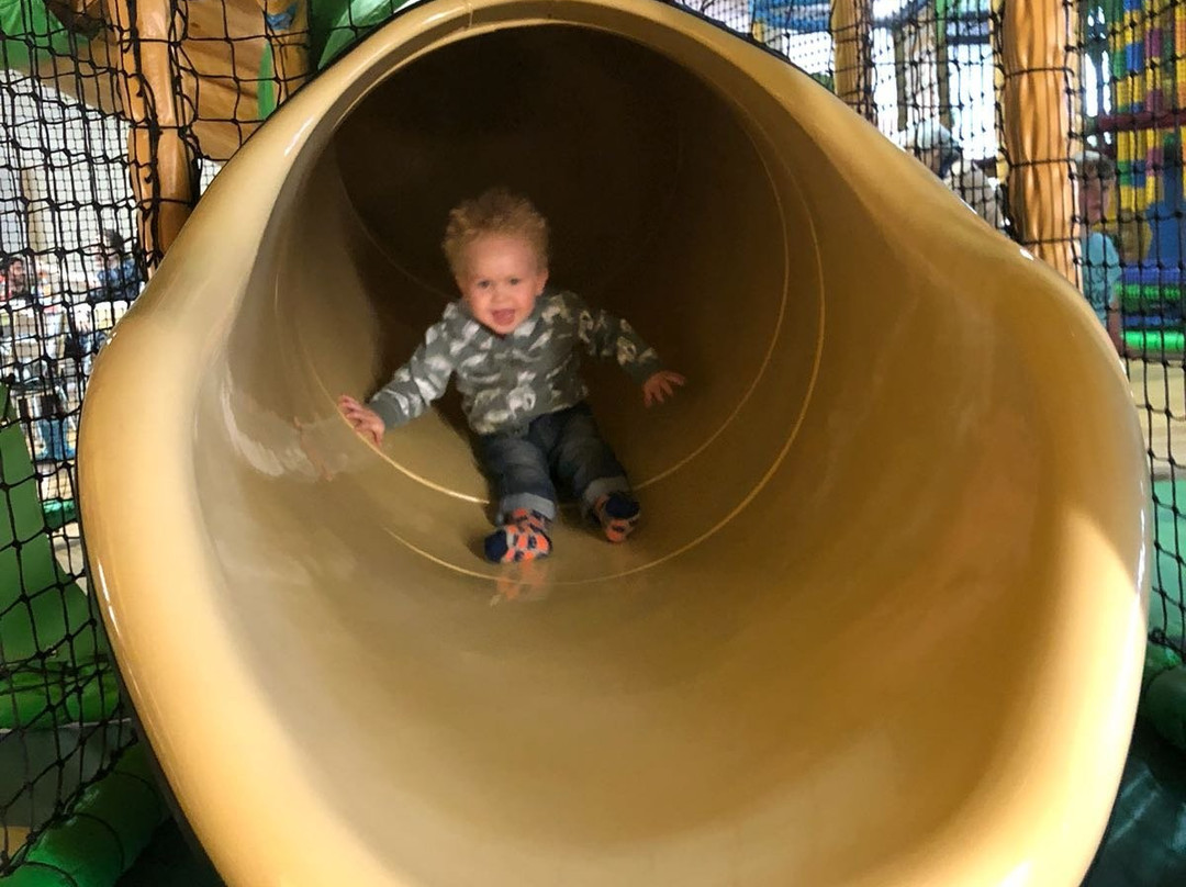 Jungle Jack's-纽奎必去景点