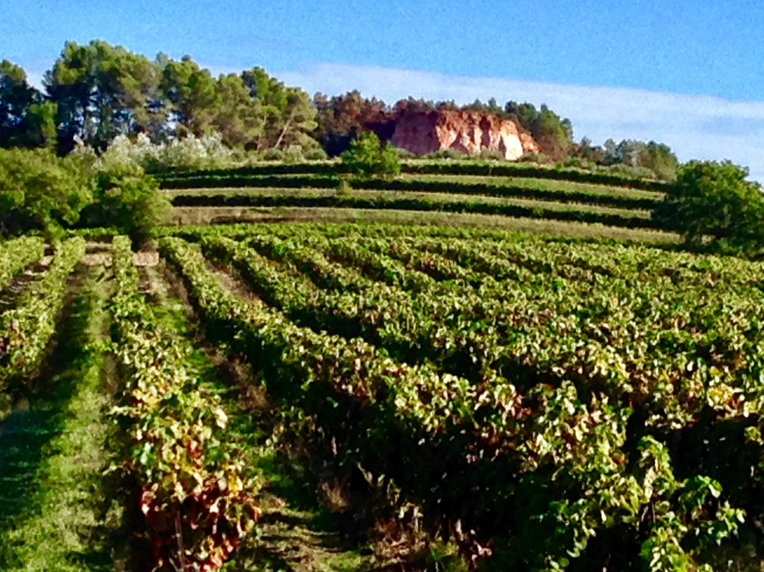 Vignoble Chasson Château Blanc景点图片