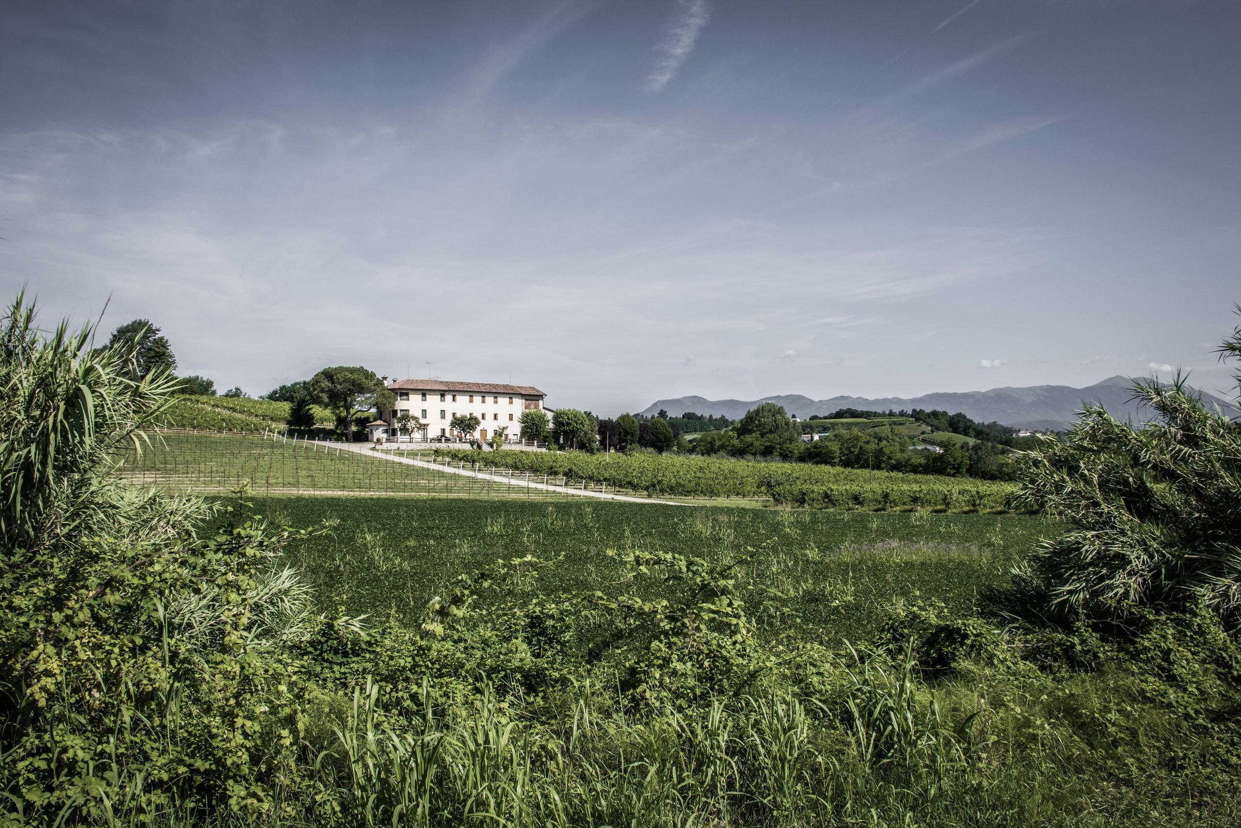 B&B Terre Boscaratto-官方