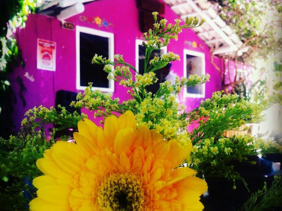 Restaurante Ali na Janete Trancoso