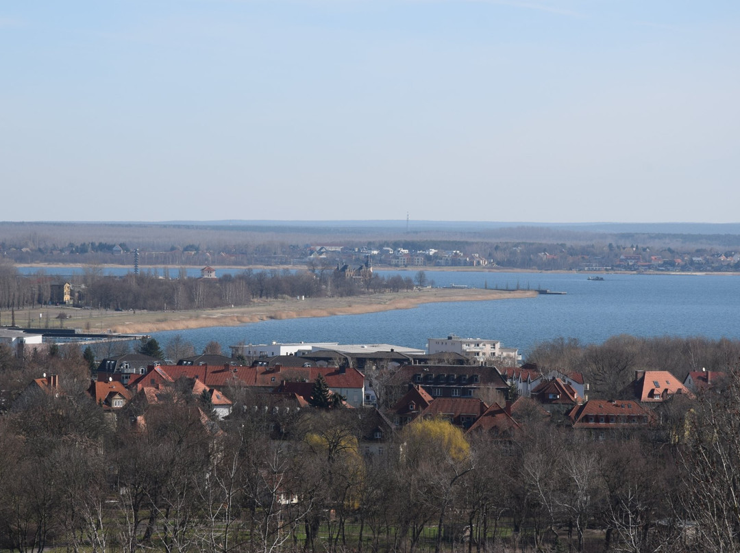 Bitterfeld旅游攻略图片