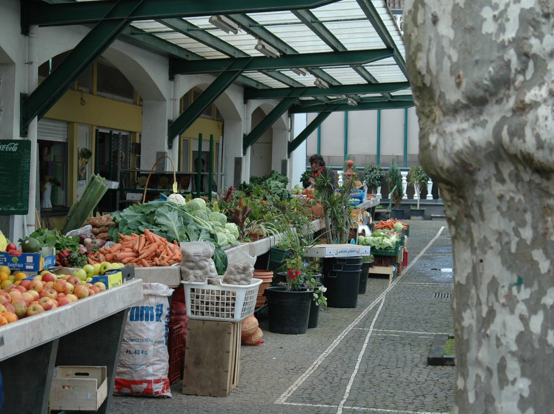 Mercado Municipal da Horta景点图片