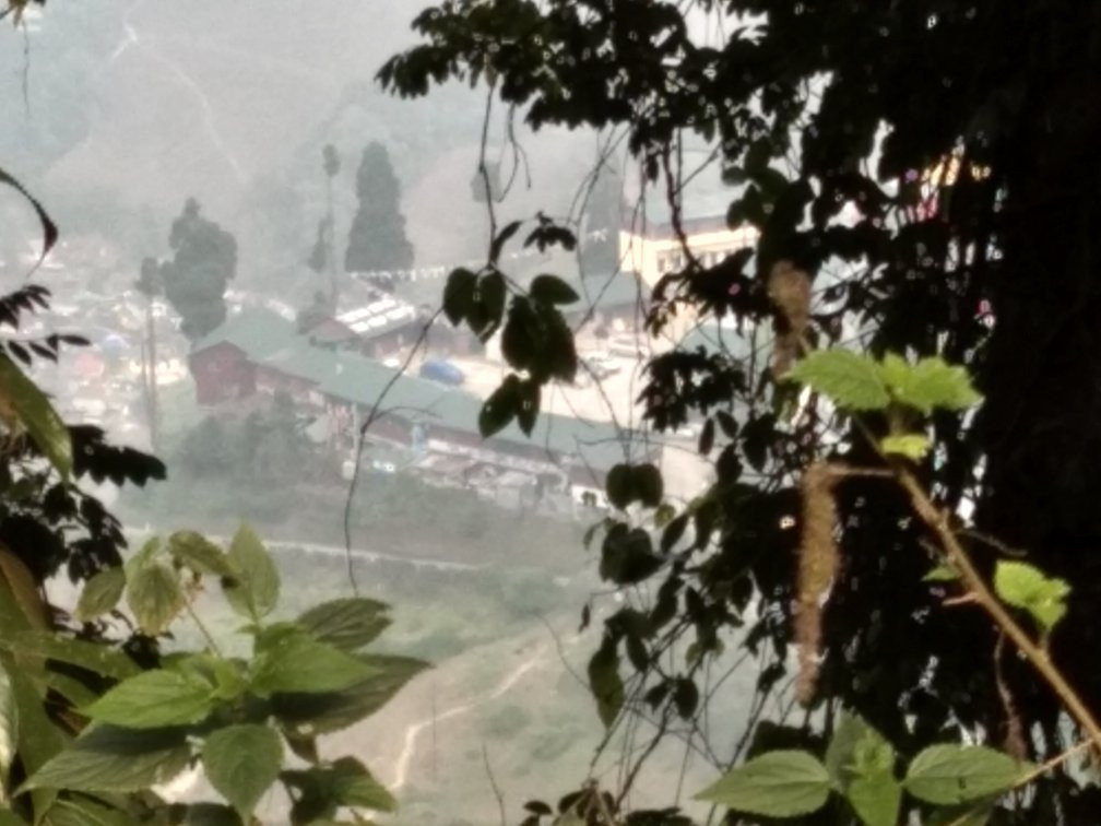 Shrubbery Nightingale Park-大吉岭必去景点